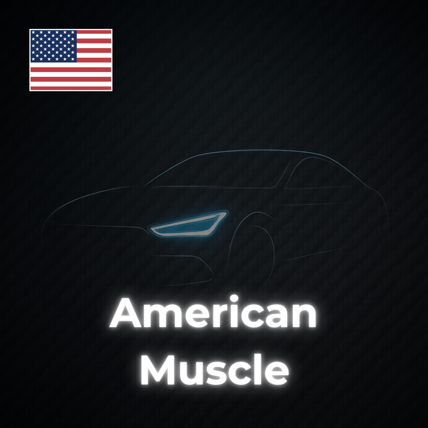 American LED Posters
